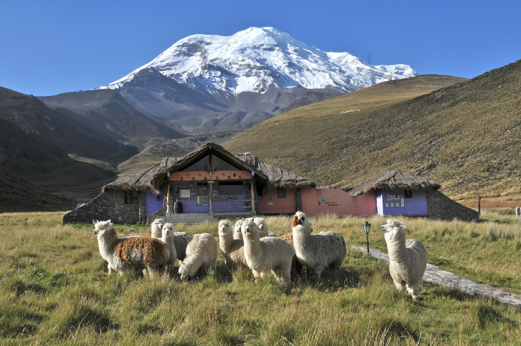 Chimborazo Lodge Extérieur photo